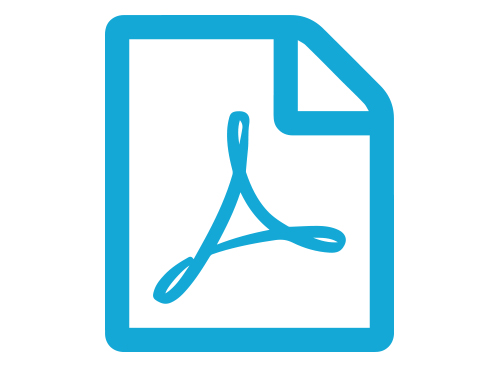 Electric (120V) Hydraulic pump, 48" hose and High Pressure Connector